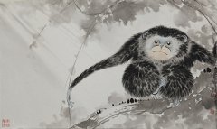 猴
