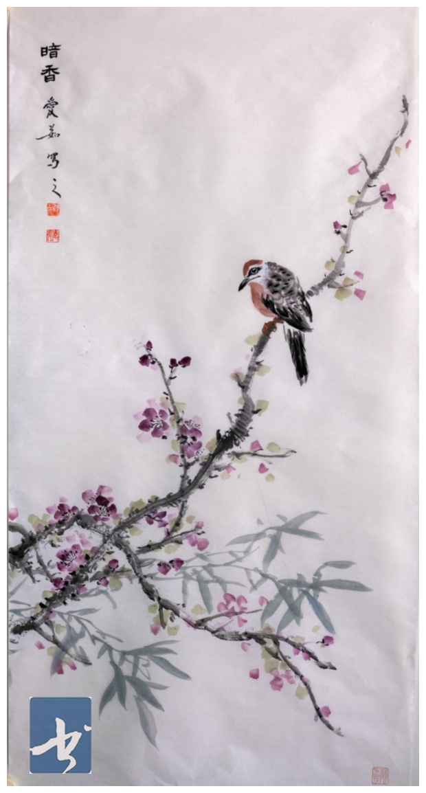 图片